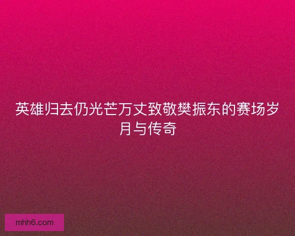 英雄归去仍光芒万丈致敬樊振东的赛场岁月与传奇
