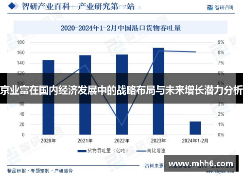 京业富在国内经济发展中的战略布局与未来增长潜力分析